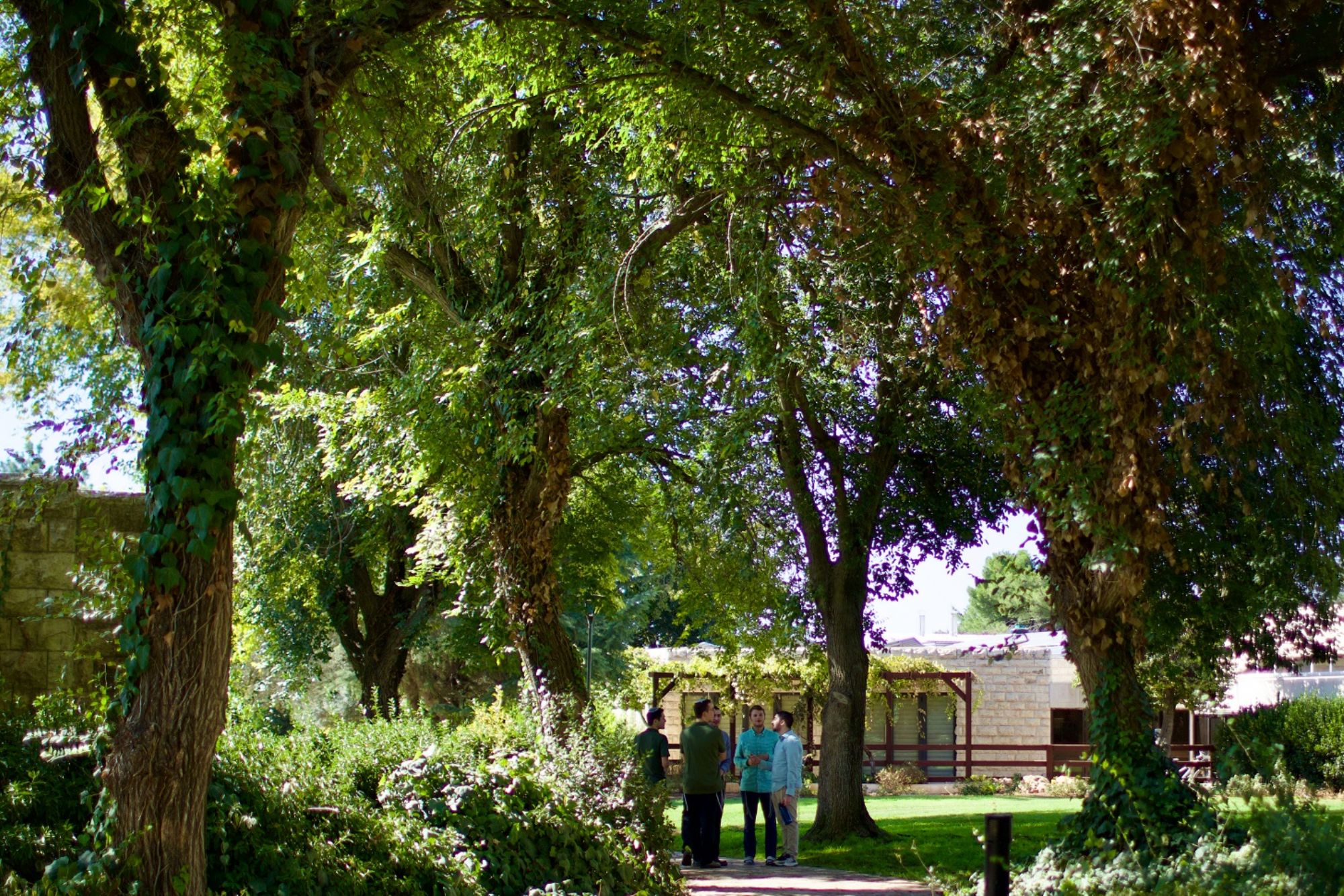 Yeshivat Har Etzion / The Gush